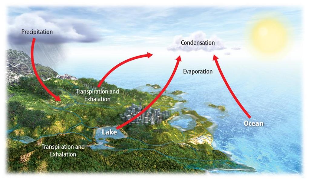 During the water cycle, the processes of evaporation, condensation, and