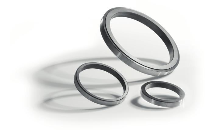 Metal-clad sealing rings In order to ensure a constantly narrow sealing gap between the ring and steel shaft of a non-contact seal across the entire operating temperature range, carbon graphite rings