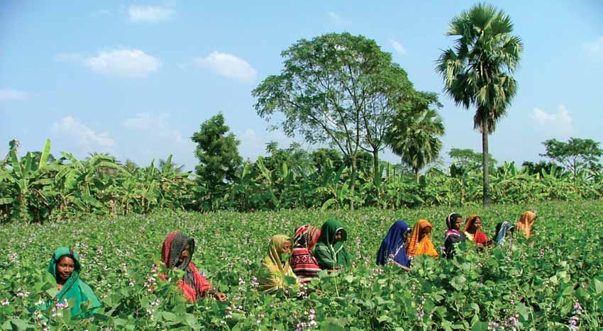 A vast majority of the poor exists in the rural areas of Bangladesh. They are so poor that it is difficult for them to access any formal financial organization.