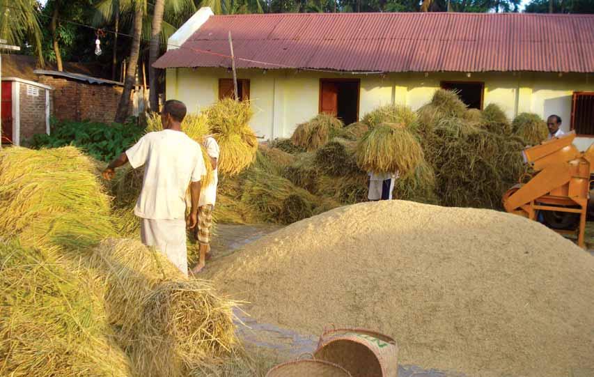 The total number of marginal and small farmers of Bangladesh is around 6.4 million and they operate in 37% of the total agricultural area in Bangladesh.