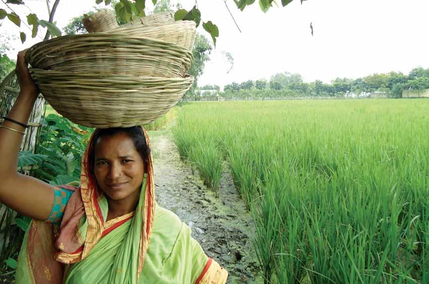Microfinance for Marginal and Small Farmers Continuing its incessant efforts to meet the credit needs of the poor farmers, PKSF, in the year 2005, embarked upon a project titled Microfinance for