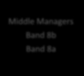 Grade Specialist Doctors Middle Managers Band 8b Band 8a First Line Managers Band 7 Band 6 Band 5 Heads of