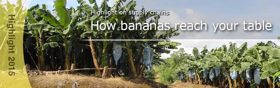 Overview In this Supply Chain Highlight, we provide an overview of the supply chain of each product we handle.