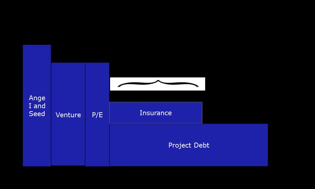 Managing Technology Risk Use of insurance products to