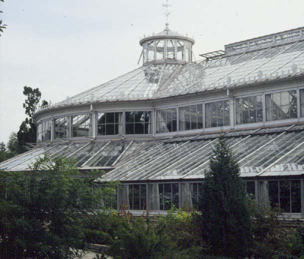Old greenhouse for botanical