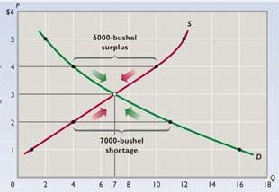 1 Elastic and inelastic demand; perfectly elastic and perfectly inelastic demand: show in graphs too.