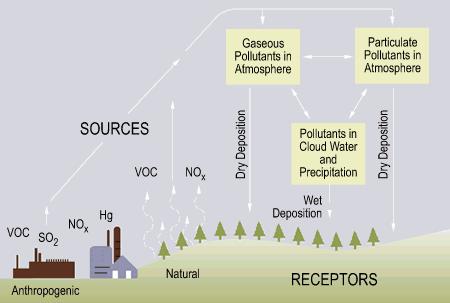 Sources of SO2 and NOx include factories, power plants,