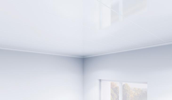 Multipanel Ceilings 19 Ceilings Paint and plaster-free ceilings Our ceiling panels are a quick alternative to painting and decorating difficult and hard to reach areas.