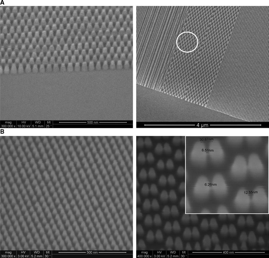 M.A. Verschuuren et al.: Large area nanoimprint by SCIL 251 Figure 8: Comparison between the master and SCIL replicated patterns.