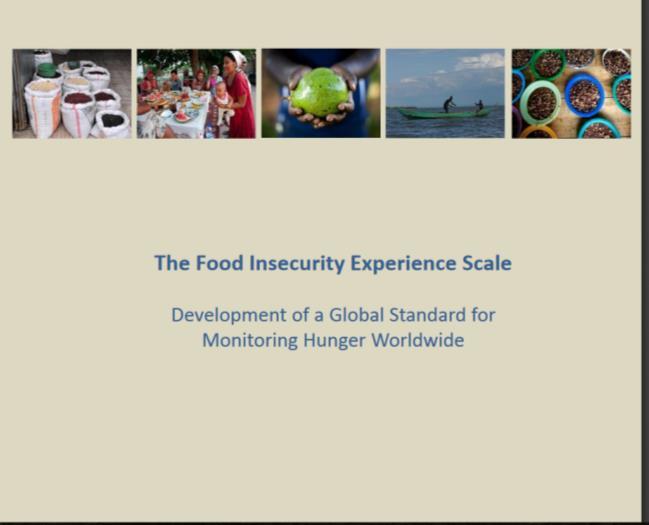 Food Insecurity Experience Scale Latin American and Caribbean Food Security Scale