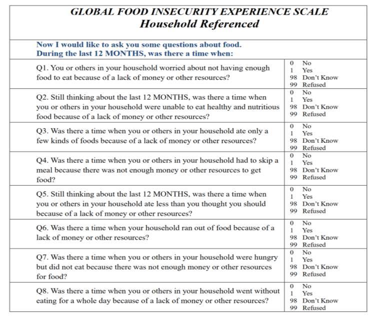 The food insecurity experience scale: development of a global standard for