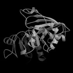 Sequence-structure-function paradigm Standard protein structure/function paradigm (Fischer, 1894, Anfinsen 1973) Amino Acid Sequence 3-D