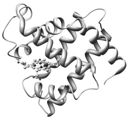 Tertiary Structure: Myoglobin (1) A globin fold: 1MBN: