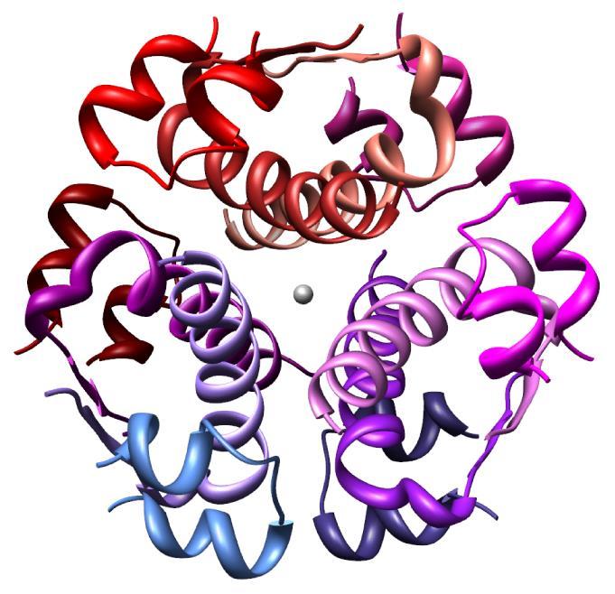 Quaternary Structure: Insulin (4) Hexamer structure of insulin. PDB ID: 1znj 41 Protein Domains (1) A domain is an independently folded region of a protein with its own stable hydrophobic core.