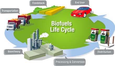 The US Biofuel Context Biofuel Manufacturing Advanced Biofuel