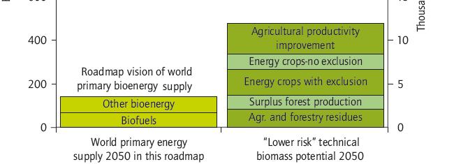 A considerable potential of low risk biomass sources has been assessed Biomass for