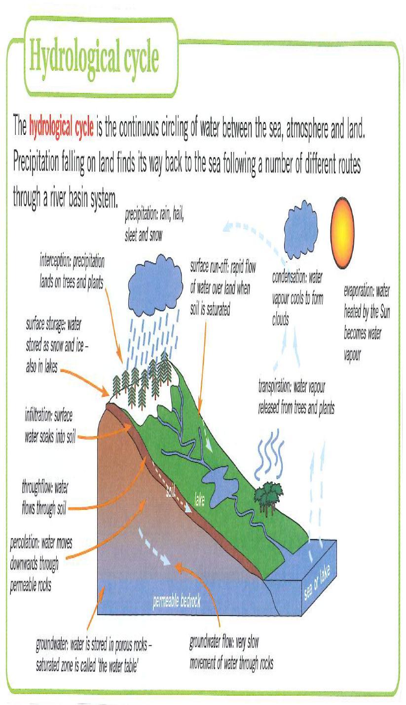 Water World Input: Precipitation Outputs: Transpiration, Evapotranspiration, rivers (carrying water to the sea) Transfers: Stemflow, surface runoff, throughflow, infiltration, percolation,