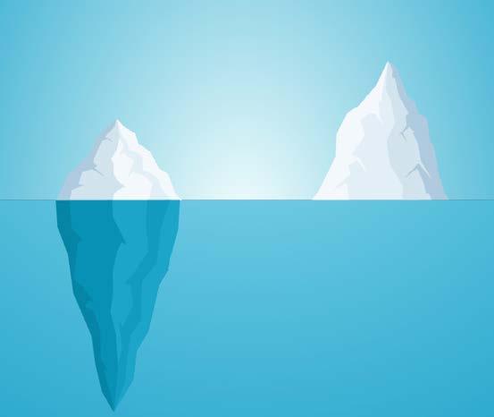 BREAKING DOWN THE WHOLE ICEBERG Depending on your serialization requirements and company size, your TCO can be 10 times or more than your initial acquisition cost.