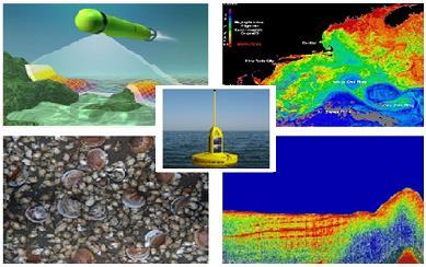 Investment in Technology & Innovation Vision for the Future Application of Technology Commonly Used in Subsea Exploration & Ocean Research Underwater Vehicles (AUV s & Gliders) Ocean Monitoring Buoys