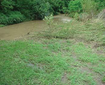 Stream processes associated with floodplain form occur in the smallest headwater streams as well as the largest rivers in Ohio, each overflowing their banks during significant storm events.