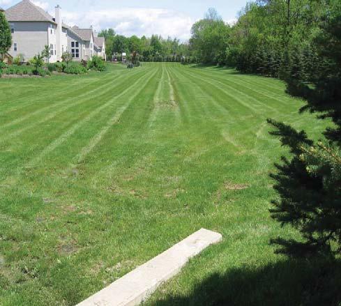 Consequently, both filter strips and grass channels should only be used as pretreatment measure or as part of a treatment train approach. (Georgia Stormwater Management Manual, Page 3.