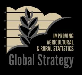 Agricultural productivity and efficiency measurement Overview of the Global Strategy project OECD Network on Agricultural