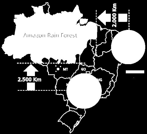 Sugarcane Exportação in de Brazil açúcar pela região Centro-Sul Sugarcane 90%