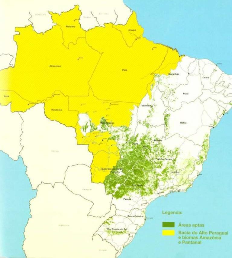 Government Initiatives SUGARCANE AGROECOLOGICAL ZONING IN BRAZIL Guidelines for Sugarcane Expansion 1. It excludes sugarcane expansion in the most sensitive biomes e.g. Amazonia and Pantanal 2.