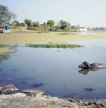 This was converted into a regular water body by King Laka Bangara by providing a waste weir in 16th century. Earlier, it had an area of 580 ha and a maximum depth of about 18.0 m.