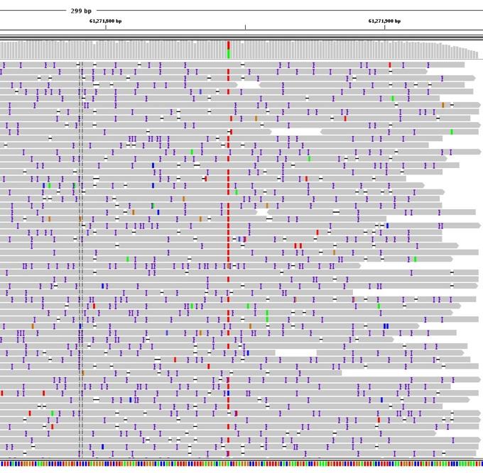 A quick look at Pacific Biosciences data discovery dataset Notice the SNP indels are the primary