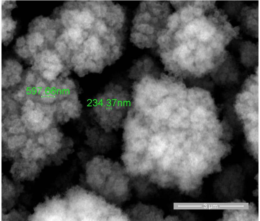 18 Figure 4. SEM images of some part of the titanium oxide layer: Increase 20,000 ; Increase 40,000. Figure 5.