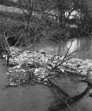 Floating gross pollutants collecting behind a fallen branch in the Merri Creek, Melbourne Categories of gross pollutants after
