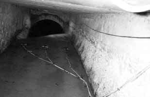 in the stormwater drain, and is therefore suitable for most urban areas.