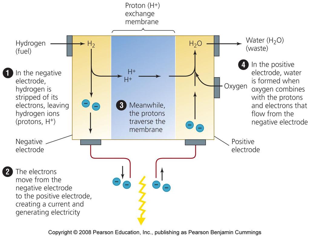 A typical hydrogen fuel cell Copyright 2008 Pearson