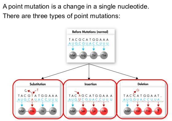Mutation: In biology, a mutation is a permanent alteration of the nucleotide sequence of the genome of an organism. There are various kinds of mutations.
