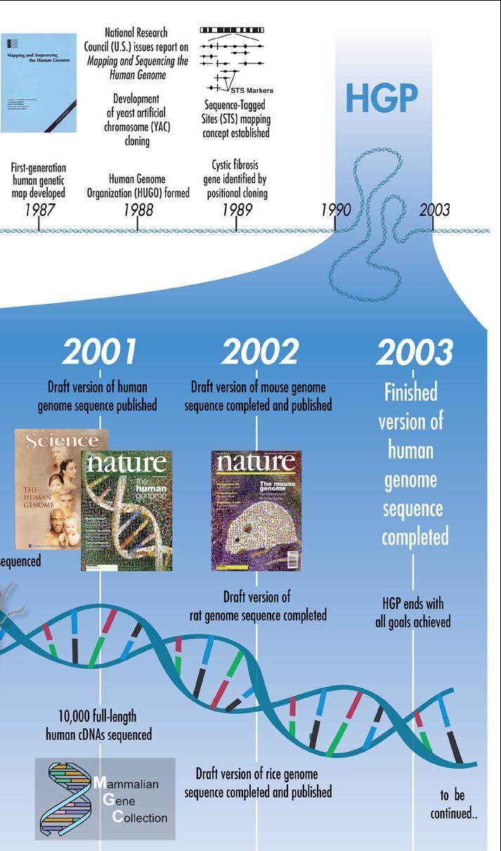 Biotechnology: Human genome project The Human Genome Project (HGP) is an