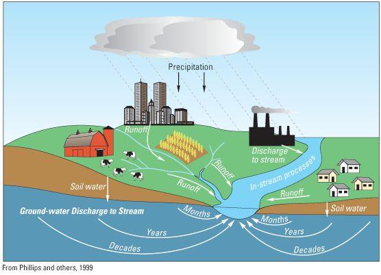Environmental systems interact Inputs to the Chesapeake Bay from