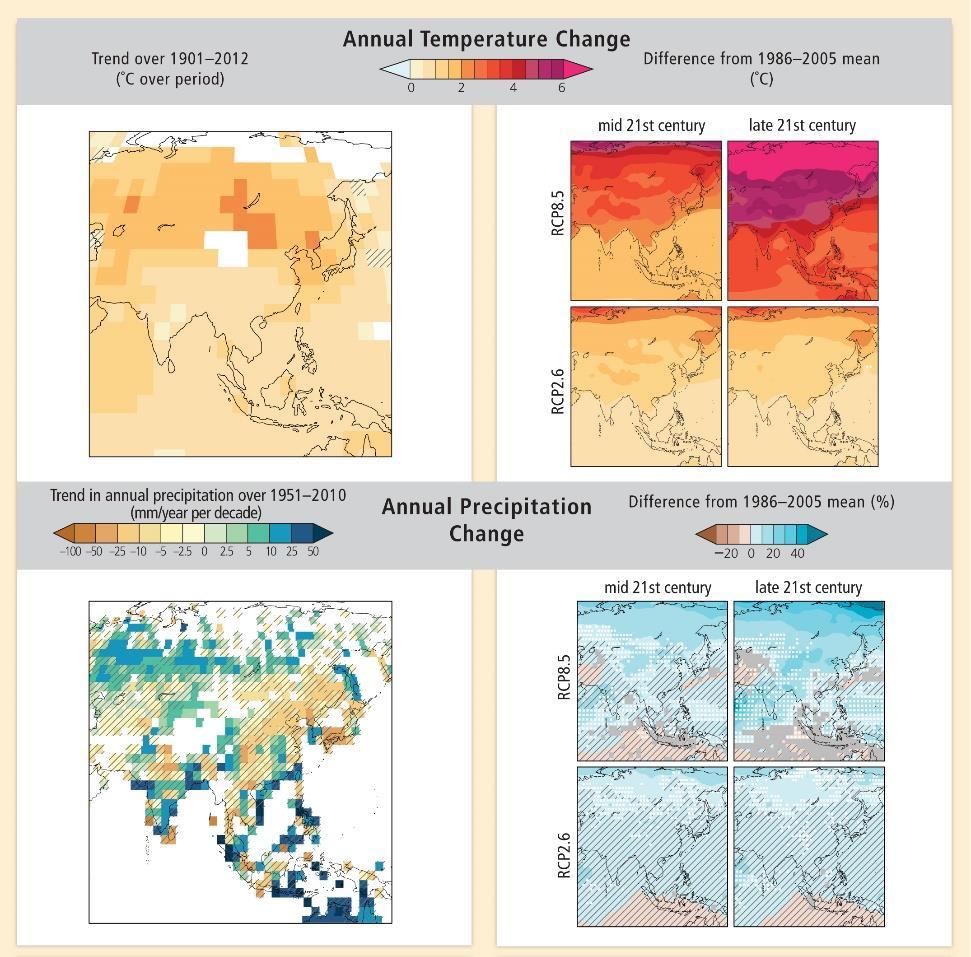 IPCC regional temperature and rainfall projections both support this