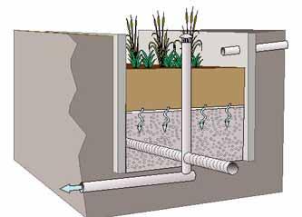 IN-GROUND (INFILTRATION) PLANTER An in-ground planter allows stormwater to enter the planter above ground and then infiltrate through the soil and gravel storage layers before exiting through a