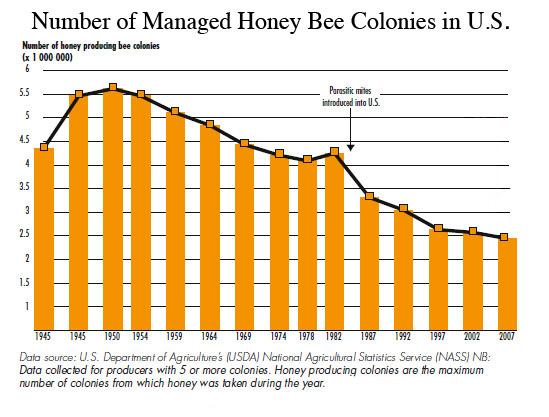 Current Status of Honey Bees Honey bee populations