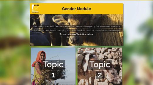 GENDER MODULE In late 2017, the LEGS Project developed an online gender module to complement the three-day face-to-face LEGS training, and provide additional information and analysis to better equip