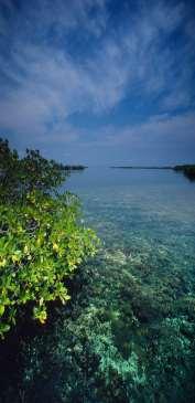 A natural capital approach to climate adaptation Placencia, Belize Authors 1 : Rebecca Traldi, Amy Rosenthal, Katie Arkema, Mariana Panuncio The challenge of adapting to climate change Governments,