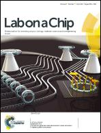 TOWARDS MICROFLUIDICS Lab on a chip or Lab-on-chip : LOC LOC represents the next generation of analytical laboratories that have been miniaturized to the size of a matchbox,