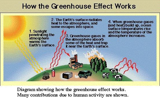 Greenhouse gasses absorbs some of the heat molecules and