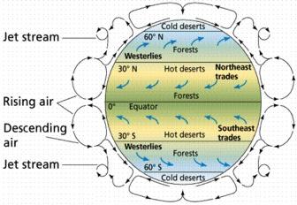 How does global air circulation affect regional climates?