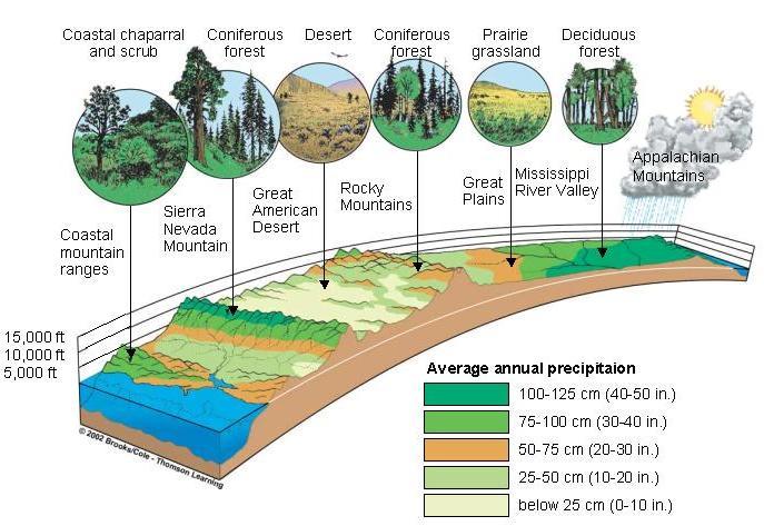 Biomes Role of