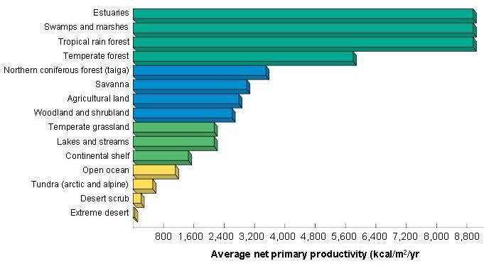 Energy Productivity of Ecosystems Primary