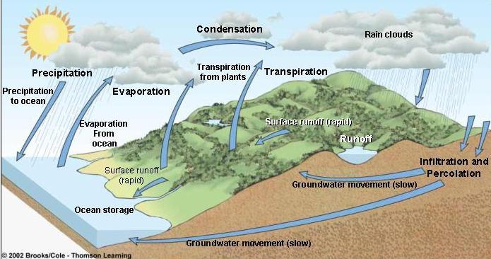 Hydrologic (Water) Cycle