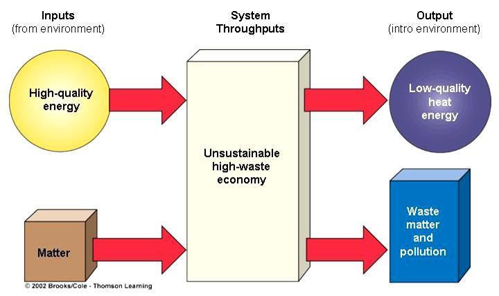 High-throughput (waste) economy