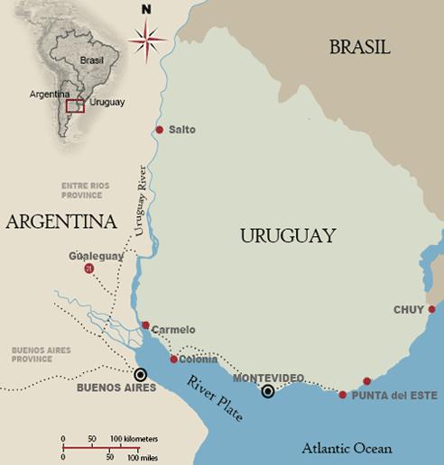 4. Mid term market drivers (ii) Uruguay s exporting capacity UPM Kymmene is planning to open a new pulp mill in Uruguay by 2020, that would consume locally sourced wood.